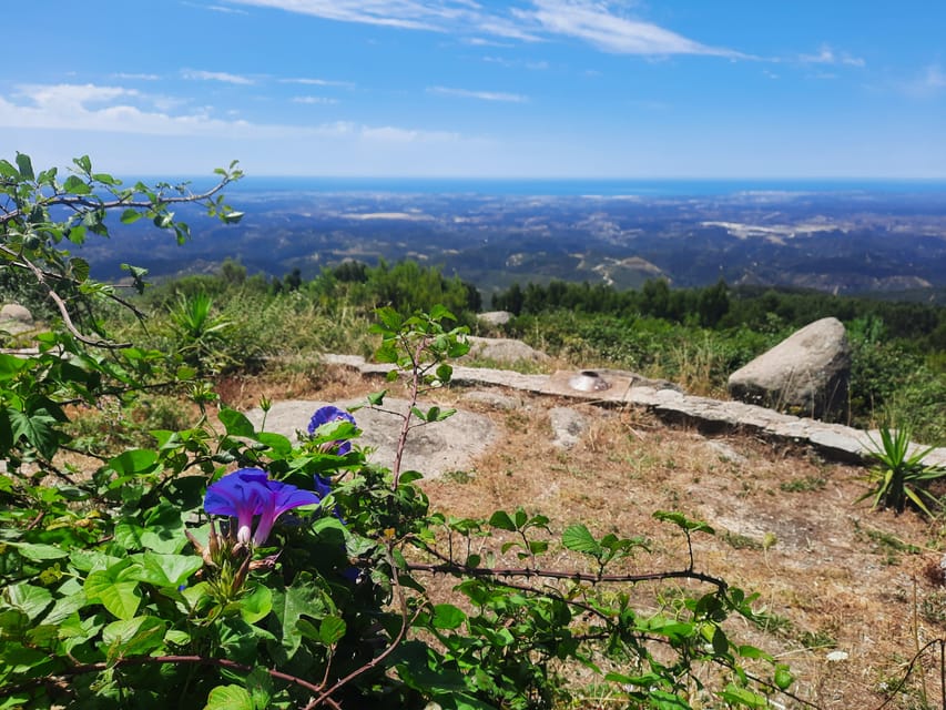 Monchique & Silves: guided day trip - Why this tour works so well