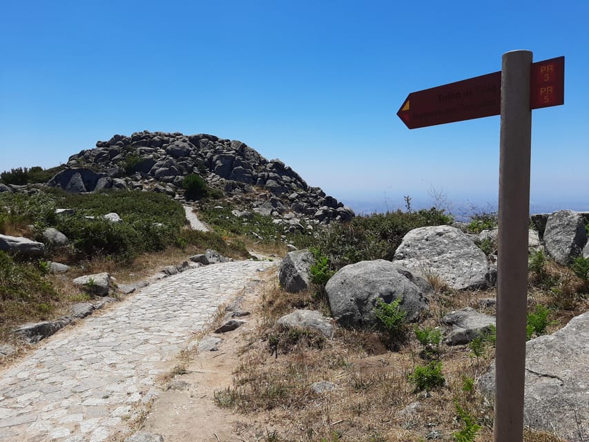 Monchique & Silves: guided day trip - Monchique: photo stops, guided walks, and real mountain life