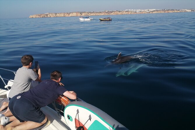 Morning private charter with drinks tapas, paddle boards &kayak - Getting to Marina de Lagos, then finding gate ABCD on time