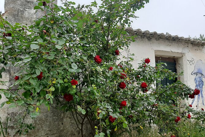 NATURA TOUR - Countryside of Lagos - ECO TUK and LOCAL guide - Stop 2 in Odiáxere: church, fish market, windmill, and farm life