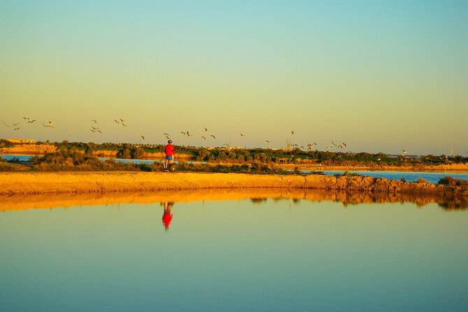 Natural Park Segway Tour with Seafood Lunch in Faro Island - Price and value: $126.17 for Segway plus lunch