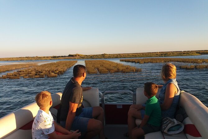 Nature Catamaran Tour from Faro - A 1-hour catamaran plan that fits Faro evenings