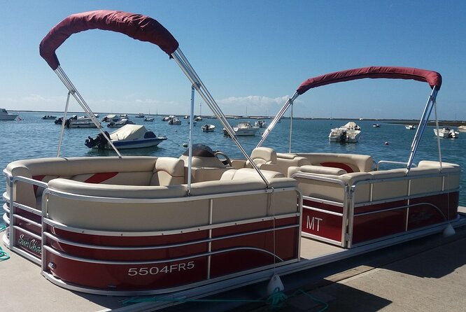 Nature Catamaran Tour from Faro - Who should book this catamaran tour from Faro?
