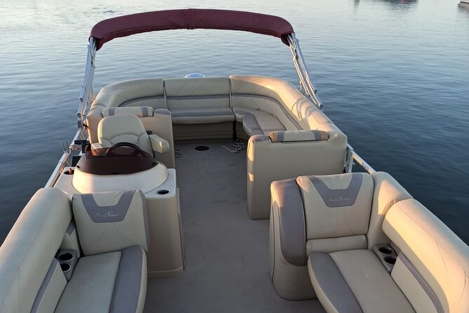 Nature Catamaran Tour from Faro - What to expect during the hour on the water