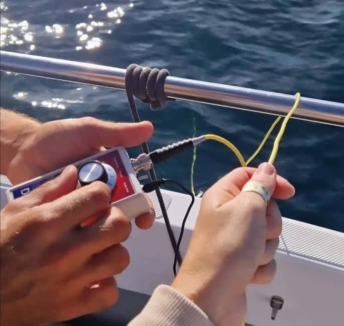 New: Into the Wild - 3H w/Marine Biologists - dolphins &more - The Wildlife Search: Dolphins, Seabirds, Fish, and the Possibility of Big Encounters