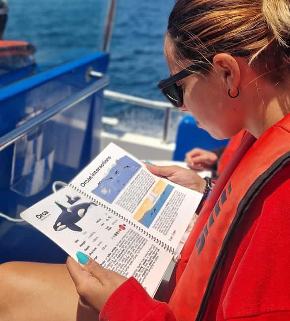 New: Into the Wild - 3H w/Marine Biologists - dolphins &more - Photo Stop and Scenic Watching: When the Trip Slows Down Just Enough