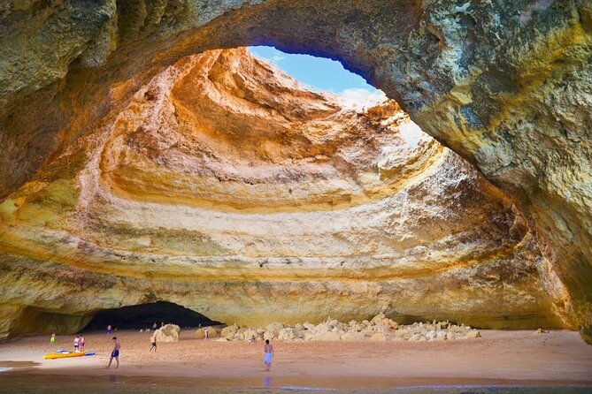 NEW Lagos-Watching Dolphins and Benagil Cave with Biologists - Price and value of a 2.5 hour biologist-led experience