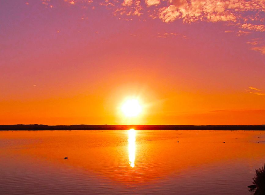 Olhão: 3-Hour Ria Formosa Boat Tour - Who this tour suits best, and who should reconsider