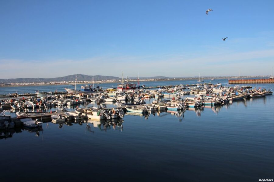 Olhão: 3 Islands Guided Sightseeing Tour with Lunch - Price and Value at About $88: What You’re Really Paying For