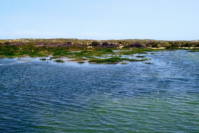 Olhão: 5H PRIVATE Guided Boat Tour, Slow Tourism in Ria Formosa. - Slow tourism on the Ria Formosa canals, not a rushed day