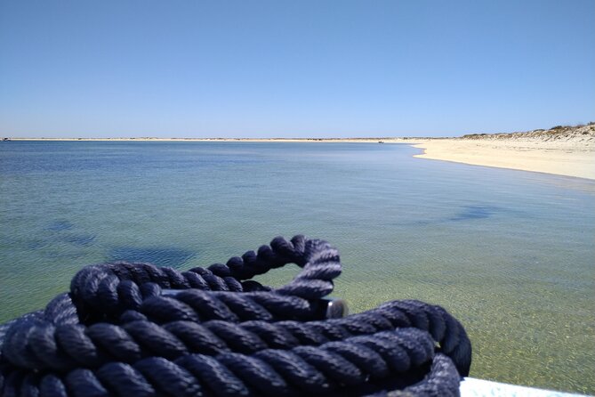 Olhão: 5H PRIVATE Guided Boat Tour, Slow Tourism in Ria Formosa. - Bird life and onboard guidance: Daniel’s style, in practice