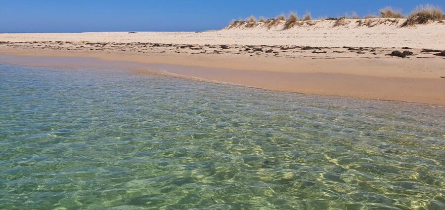 Olhão:5h ride 3 stops on the beaches and islands Ria Formosa - Stop Three: the lighthouse area, views, and wildlife spotting