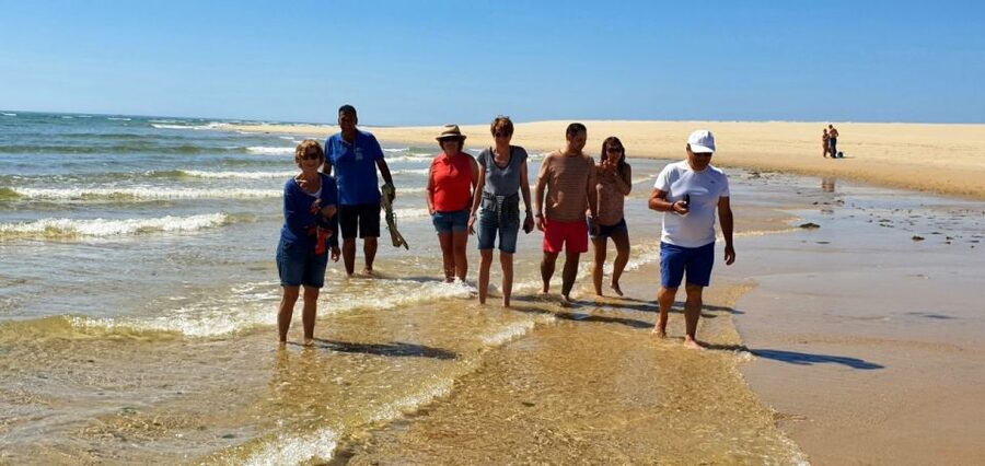 Olhão:5h ride 3 stops on the beaches and islands Ria Formosa - Food and what to pack: swim gear matters more than you think