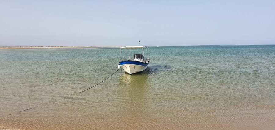 Olhão:5h ride 3 stops on the beaches and islands Ria Formosa - Guides like Al, Fernando, Alvaro, and Carlos can make the whole day