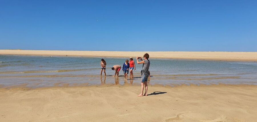 Olhão:5h ride 3 stops on the beaches and islands Ria Formosa - Boarding in Olhão: what the 5 hours are like in practice
