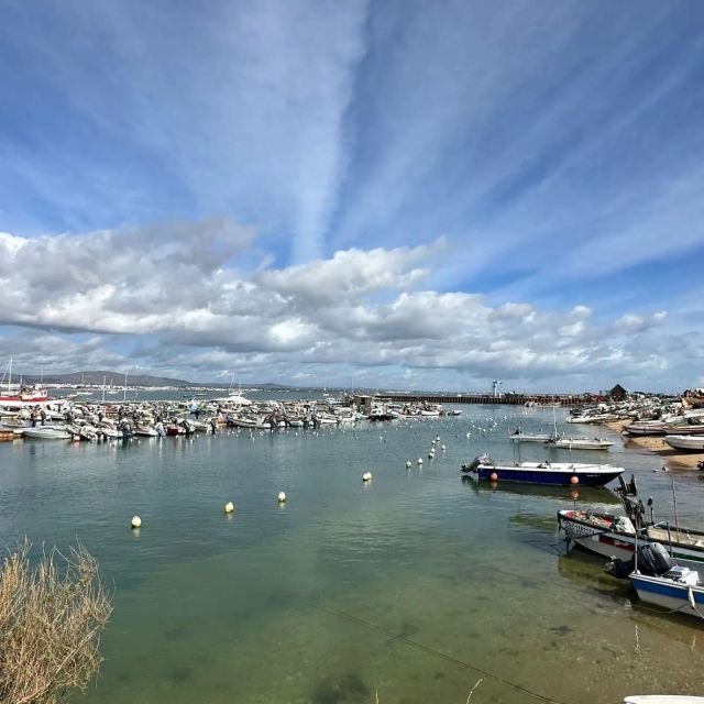 Olhão: Formosa Rota 2H - Oyster farms and fishermen village culture you can actually see