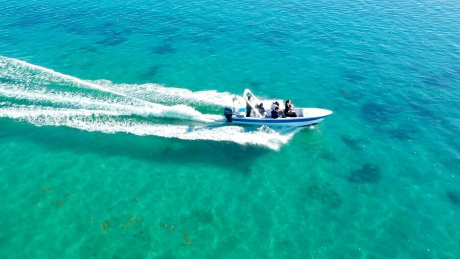 Olhão: Formosa Rota Da Ria - Culatra Island for 2 Hours: Fisher Island Life, Markets, and Food on Your Terms