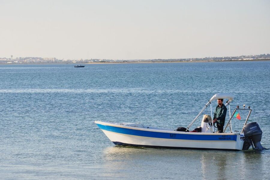 Olhão: Formosa Rota Da Ria - The Armona Stop: Quick Beach Time and Clear-Water Views