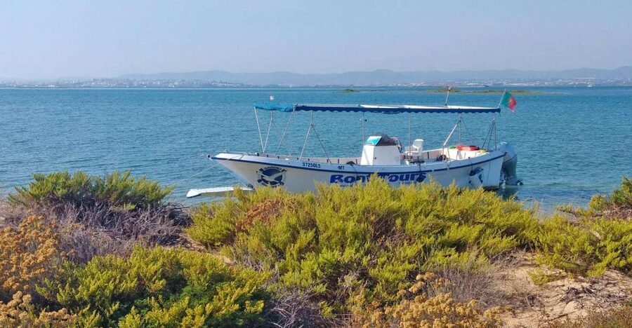 Olhão: Private Boat Tour to Ria Formosa - Key things I’d plan around
