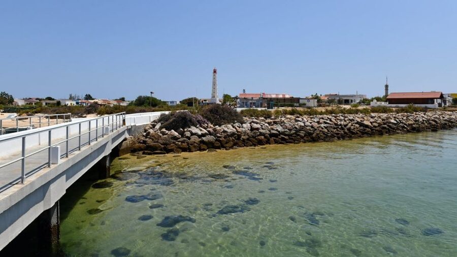 Olhão: Private Boat Tour to Ria Formosa - Who This Tour Suits Best