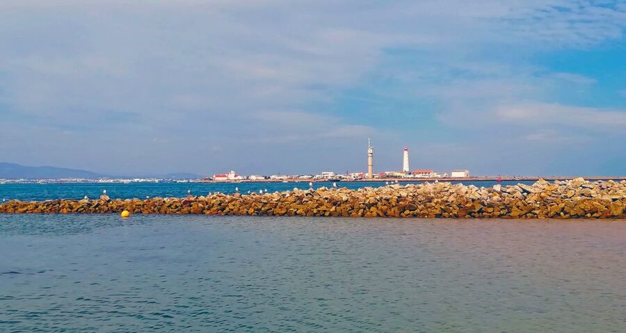 Olhão: Private Boat Tour to Ria Formosa - Culatra Island, the Fishing Community Side