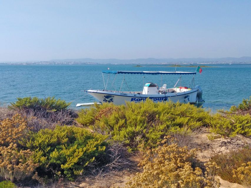 Olhão: Private Boat Tour to Ria Formosa - Armona and Lagoon Time, Plus a Swim