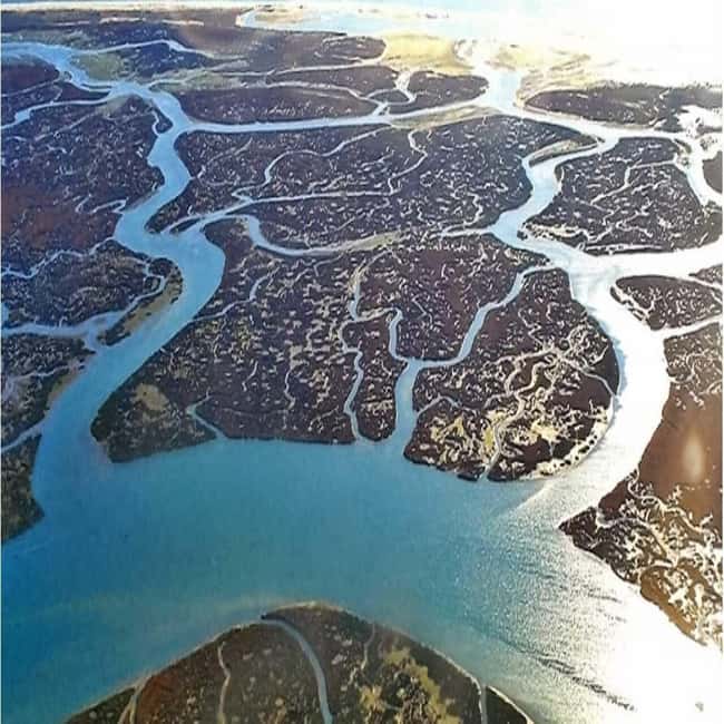 Olhão: Ria Formosa 2 Islands Boat Tour - Parque Natural da Ria Formosa cruise: birds, channels, and tide clues
