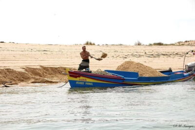 Ria Formosa 3 Islands Guided Day Trip by Boat