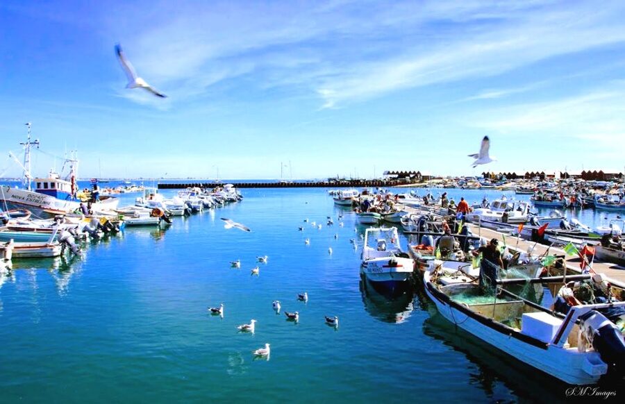 Olhão: Ria Formosa 3 Islands Guided Day Trip by Boat - Culatra Island: the culture stop where the lagoon meets work