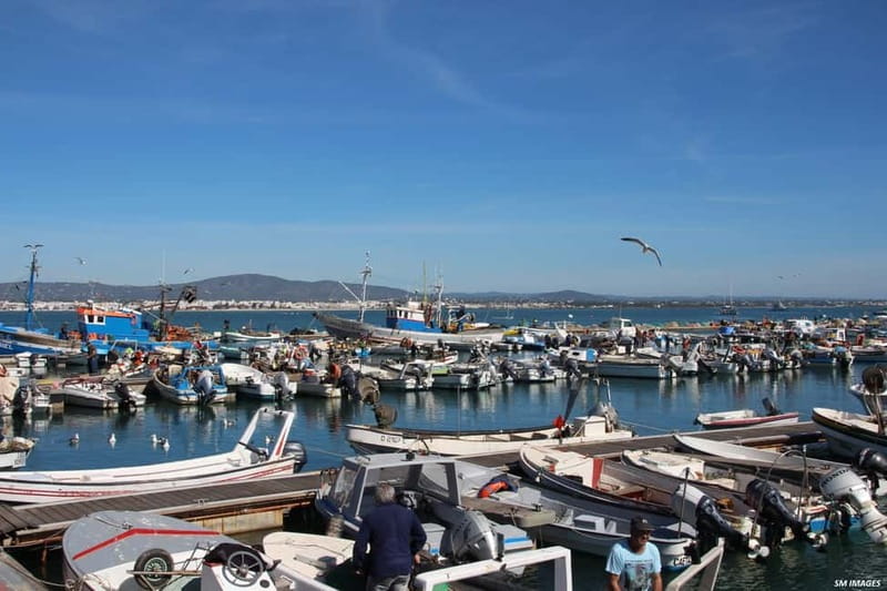 Olhão: Ria Formosa 3 Islands Guided Day Trip by Boat - Another short cruise to Ilha do Farol for photos and free time