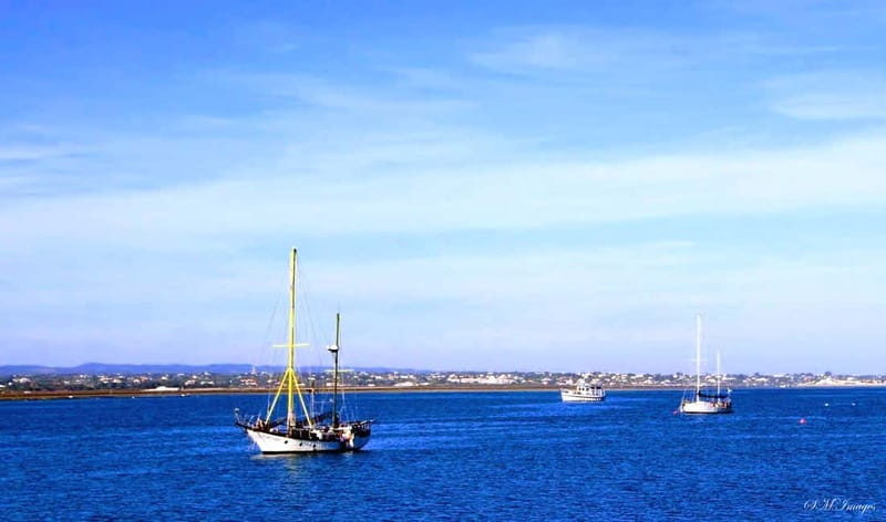 Olhão: Ria Formosa 3 Islands Guided Day Trip by Boat - Comfort and logistics that actually affect your day