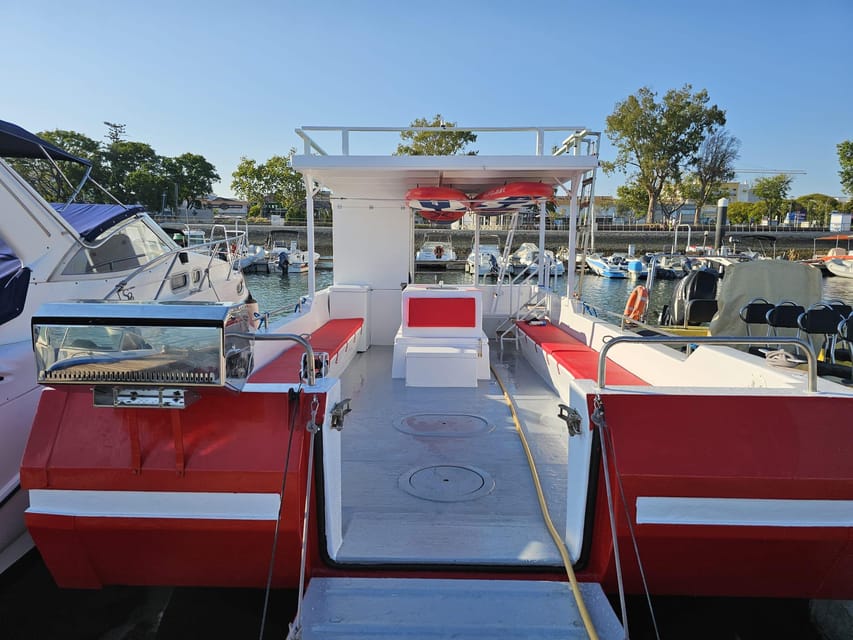 Olhão: Ria Formosa BBQ Explorers - Tour along the islands - SUP Time Included: Try It, Even If You’re Not a Pro