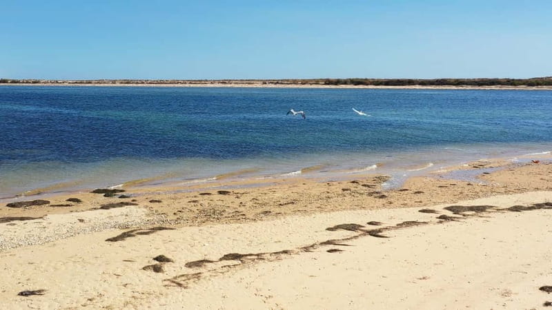 Olhão: Ria Formosa National Park and Islands Boat Cruise - Culatra Island: short visit, real culture, and fisher community scale