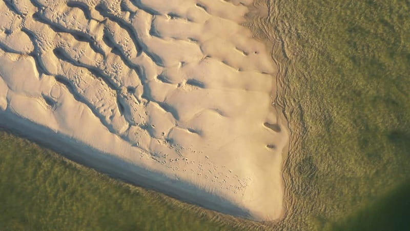 Olhão: Ria Formosa National Park and Islands Boat Cruise - Why the captain’s narration makes or breaks the trip