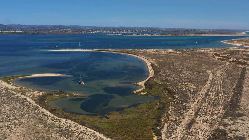 Olhão: Ria Formosa National Park and Islands Boat Cruise - Shared group vs private cruise: choosing the right vibe