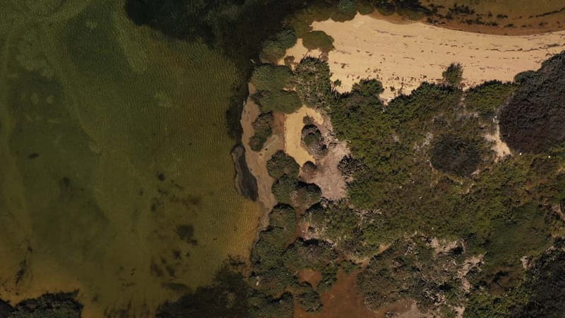 Olhão: Ria Formosa National Park and Islands Boat Cruise - Price and value: what $35 buys you in real time