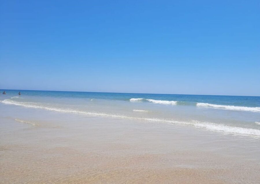Olhão & Ria Formosa with lunch included - Key moments that make this tour worth it