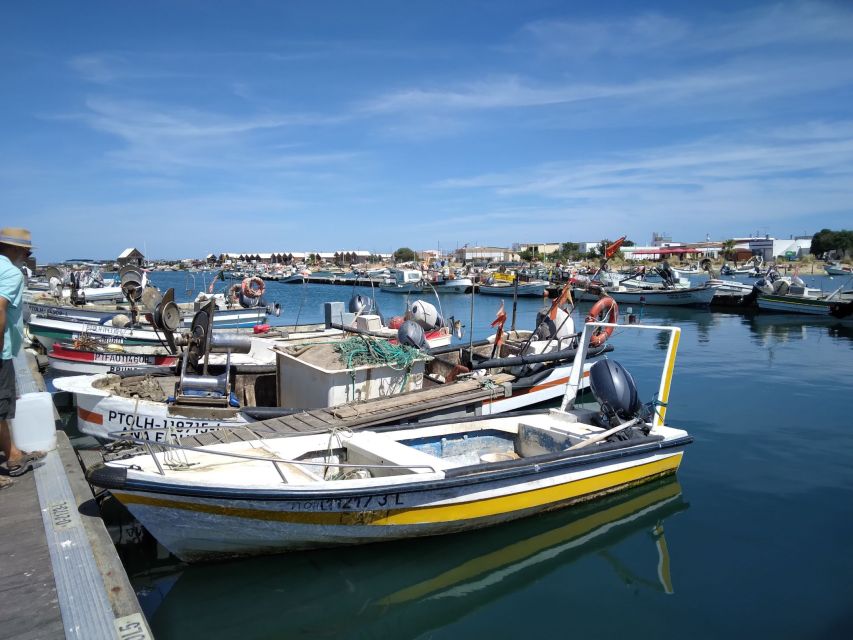 Olhão & Ria Formosa with lunch included - Ferry views and photo stops: where the scenery actually lands