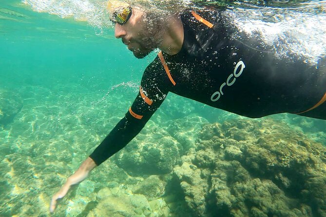 Open-Water Swimming in Algarve - Value check: does $72.29 per person make sense?