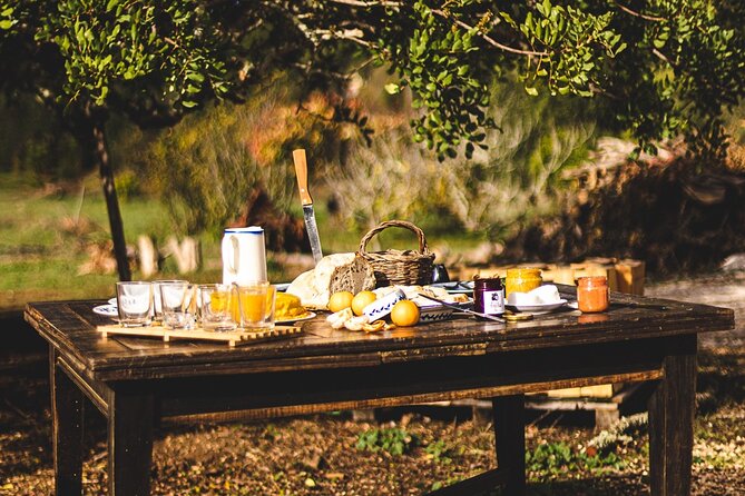 Organic Orange Picking & Jam Making with Farm-to-Table Lunch - Timing, weather, and how to plan for a 4.5-hour day