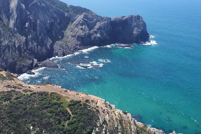 Paragliding Algarve Experience - Action Cameras: Recording Your Flight Without Making It Complicated