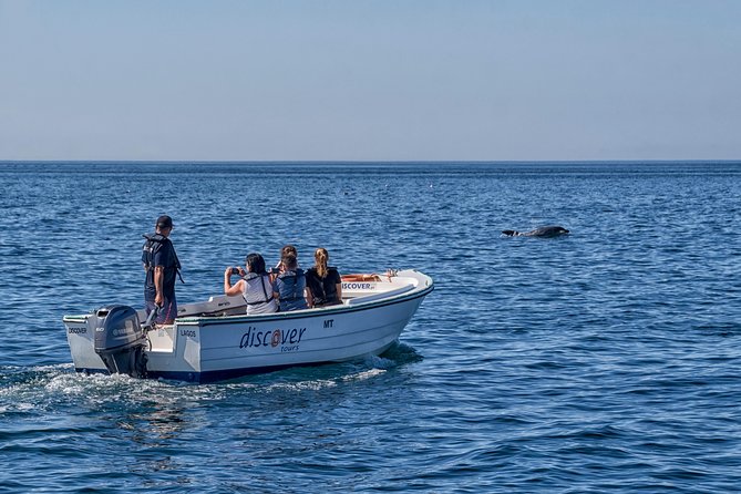Ponta da Piedade Boat Tour to Caves and Beaches with Local Guide - Finding Lagos Marina and starting your cruise the right way