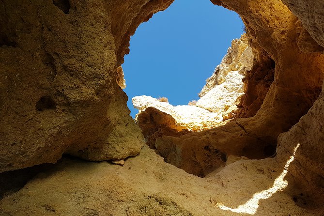 Ponta da Piedade Coastal Tour in Lagos, Algarve - Key highlights you should know