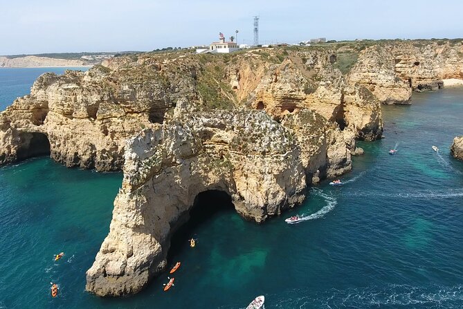 Ponta da Piedade Costal cruise and Caves-2h - Wildlife spotting: how to watch for dolphins without losing the moment