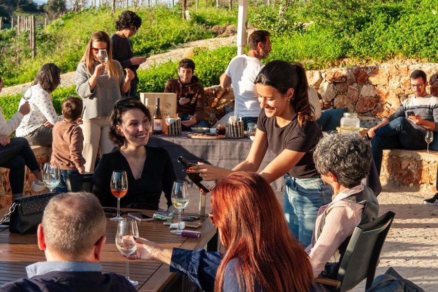 Porches: Algarve Vineyard Tour and Wine Tasting Experience - Should you book Porches: Algarve Vineyard Tour and Wine Tasting Experience?