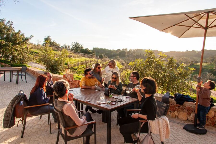 Porches: Algarve Vineyard Tour and Wine Tasting Experience - Four Algarve wines plus tapas: what you taste and how to think about it