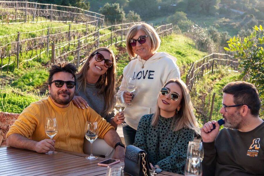 Porches: Algarve Vineyard Tour and Wine Tasting Experience - The vineyard walk and photo stops: wine stays in your hand