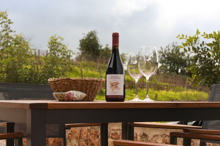 Porches: Algarve Vineyard Tour and Wine Tasting Experience - Price and value for a structured wine tasting at $91
