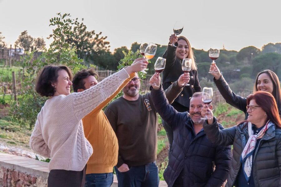 Porches: Algarve Vineyard Tour and Wine Tasting Experience - Practical tips before you go: shoes, alcohol pace, and weather