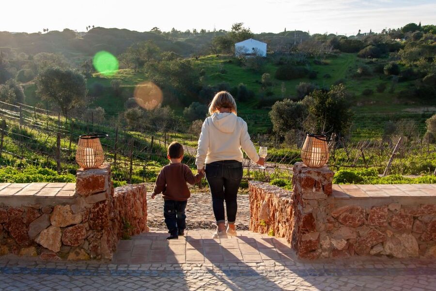 Porches: Algarve Vineyard Tour and Wine Tasting Experience - Where to meet near Albufeira: olive tree roundabout directions